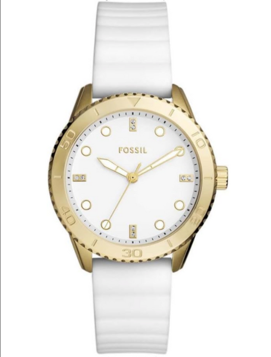 FOSSIL